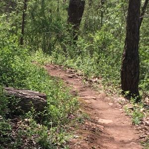 Meet your Posher, Pam